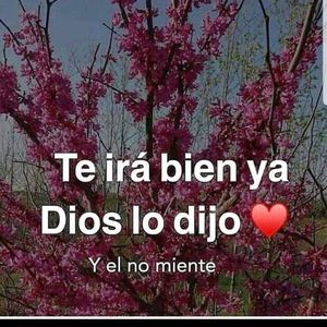 Meet your Posher, Alasa